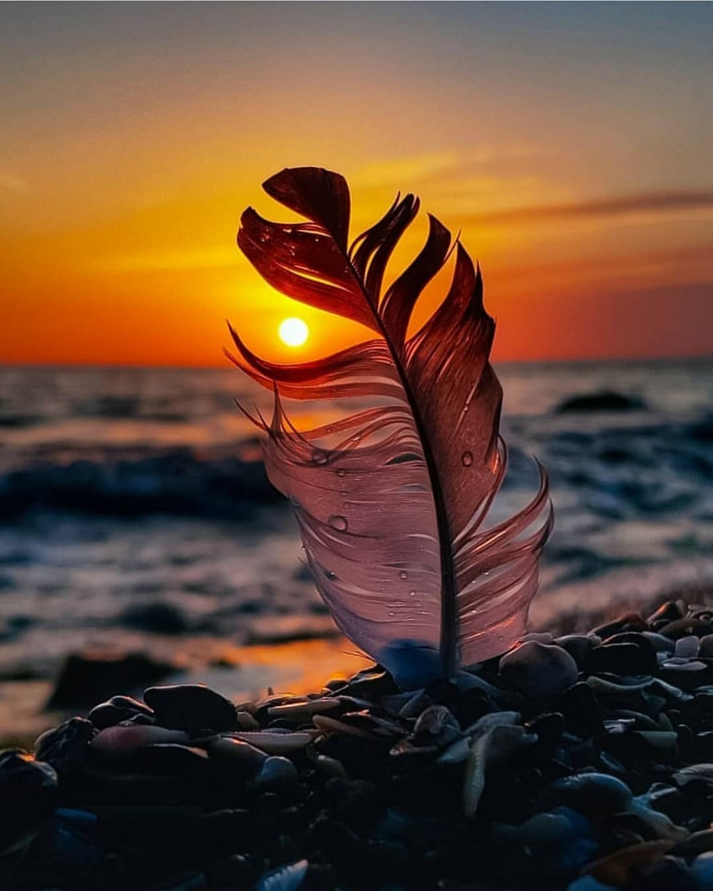 Hangtálterápia és Thai talpmasszázs